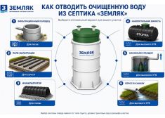 Зорде Рейн 7 Миди