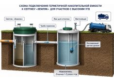 Зорде Рейн 7 Миди